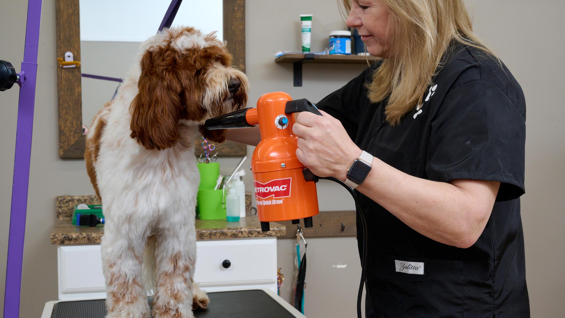 International Pet Products