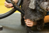 AIR FORCE® BLASTER PET DRYER