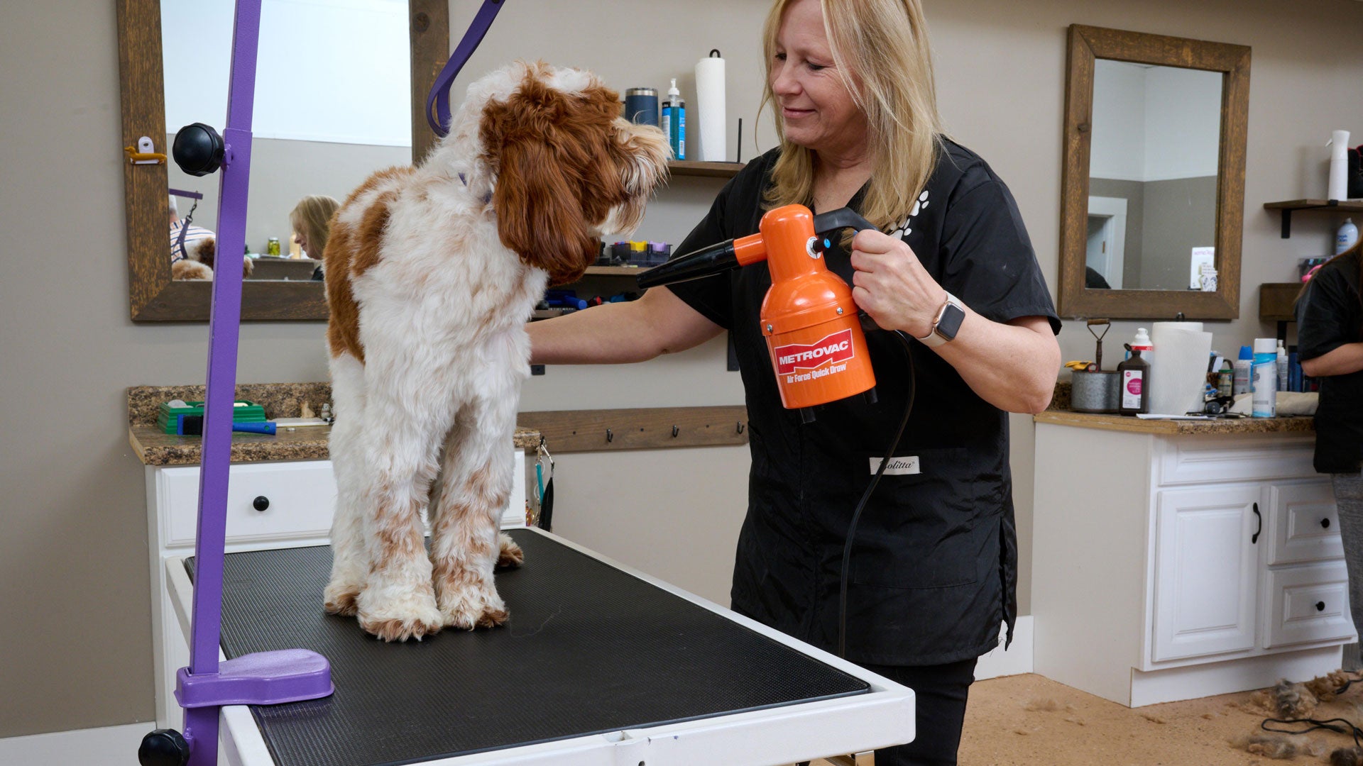 Pet Vacuum