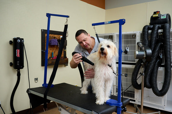 The Best Vacuums For Allergies & Allergy Sufferers