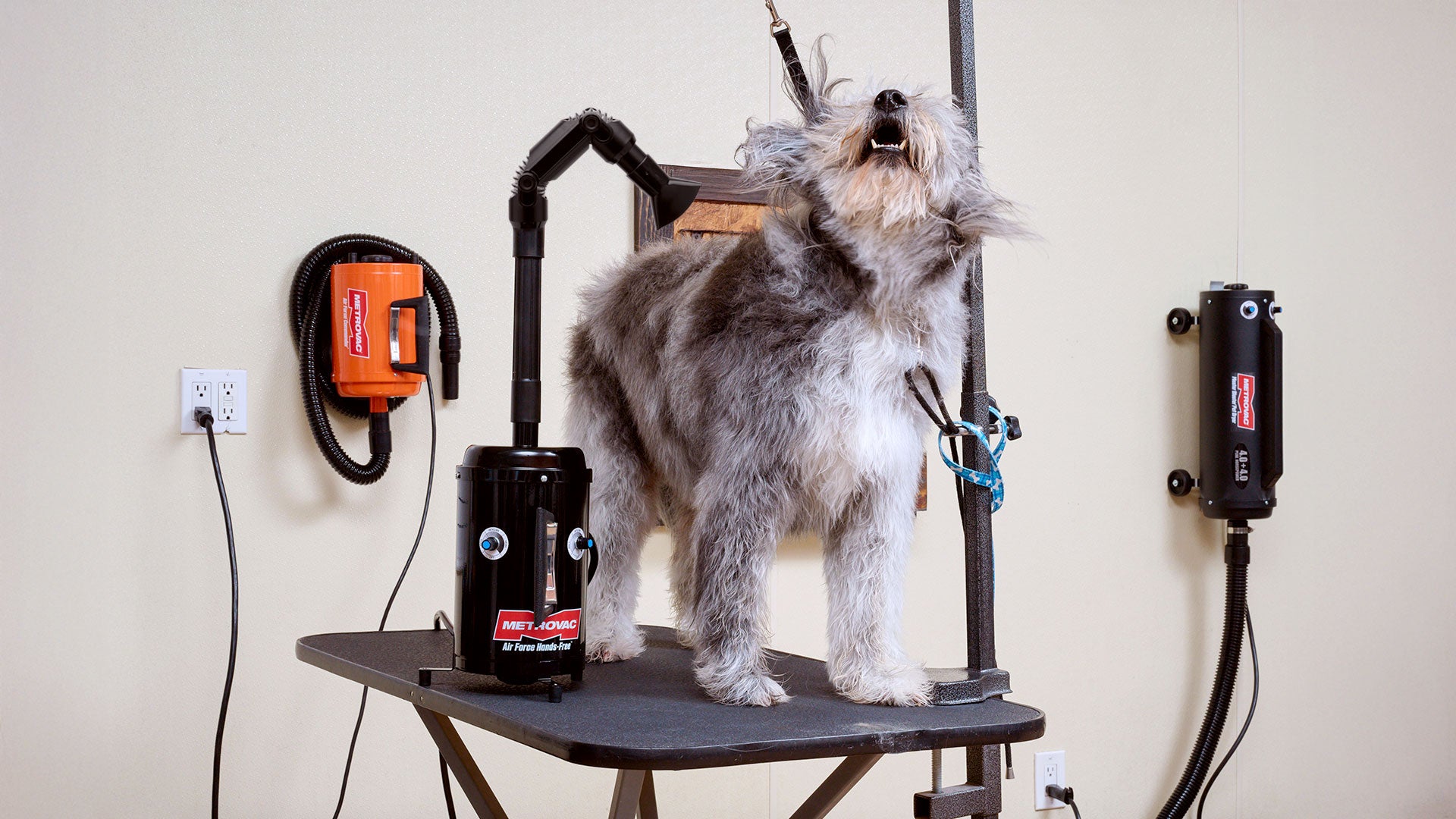 Air Force® HandsFree™ Pet Dryer