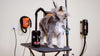 Air Force® HandsFree™ Pet Dryer