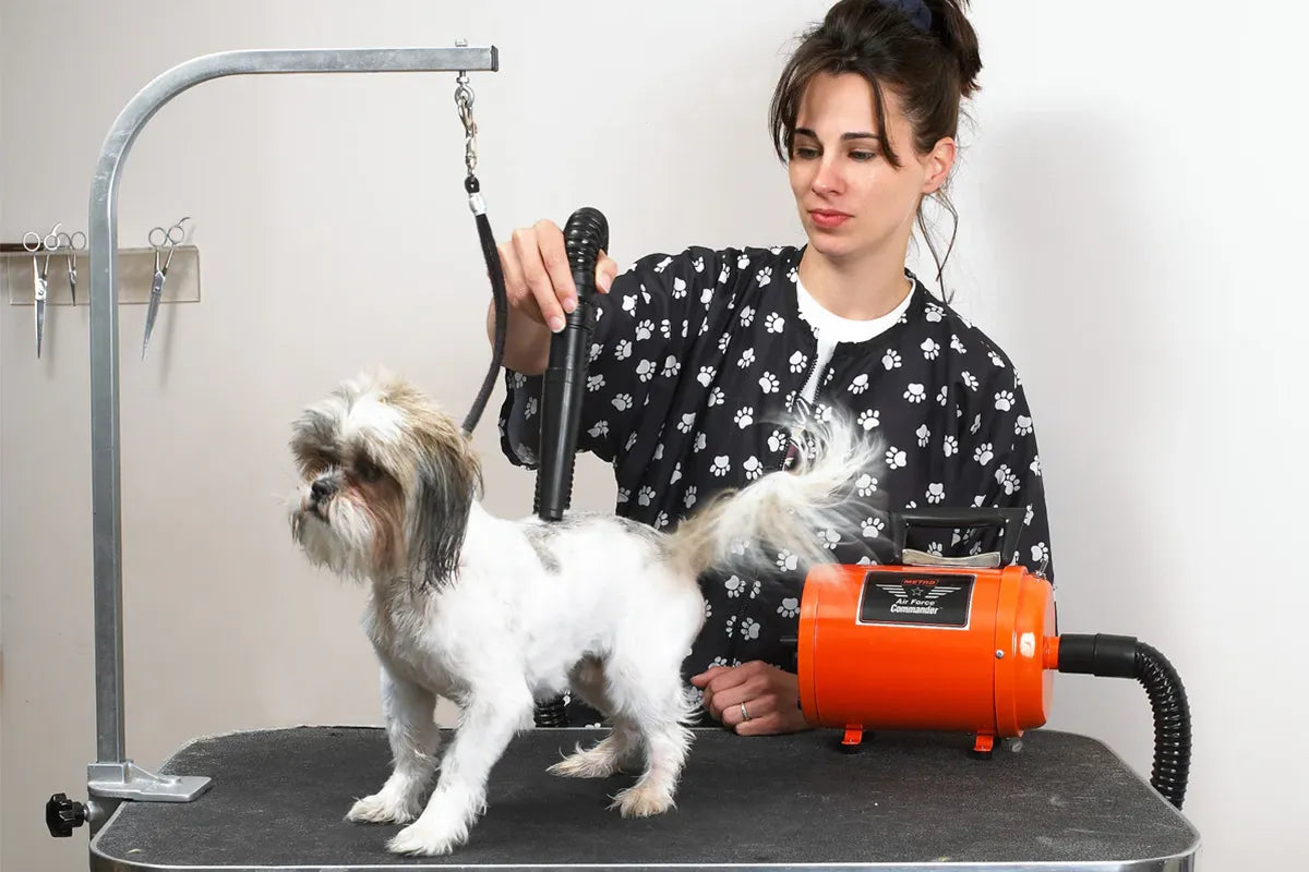 Pet groomer using orange MetroVac Air Force® Commander® 2 Speed Dryer to groom a small white and brown dog on a grooming table.
