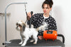 Pet groomer using orange MetroVac Air Force® Commander® 2 Speed Dryer to groom a small white and brown dog on a grooming table.