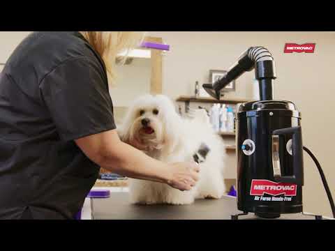 Air Force® HandsFree™ Pet Dryer 220V / EURO